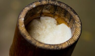 tea tree oil for treating warts